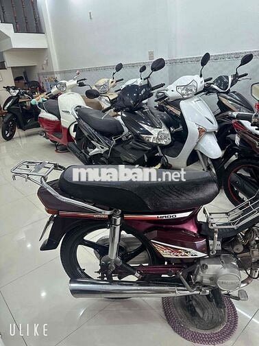 HONDA CITI ( HADOSIVA ) BS: 65 CẦN THƠ