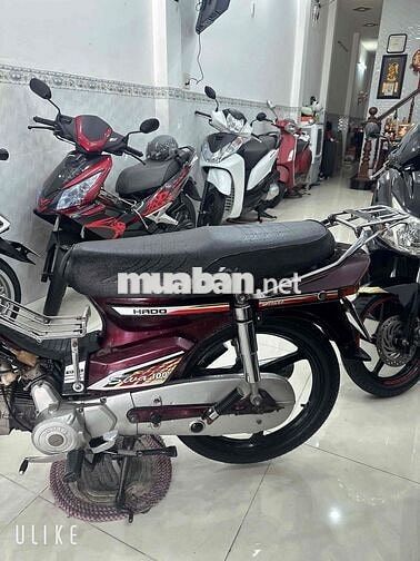 HONDA CITI ( HADOSIVA ) BS: 65 CẦN THƠ