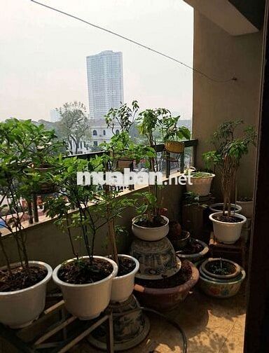 CĂN GÓC RỘNG – VIEW HỒ HIẾM – Ở SƯỚNG LÂU DÀI 🌿
Bán căn hộ CT4A1