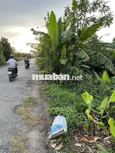 Bán 1.000 met vuông đất, full thổ cư (1.000 mét vuông đất ở Đô Thị)