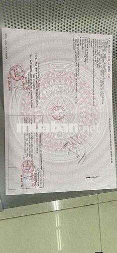 Bán Đất Khu Hố Lang Tân Đông Hiệp TP Hồ Chí Minh
