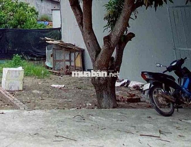 🔥 BẮT ĐÁY LÔ ĐẤT ĐẸP – TIỀM NĂNG SINH LỜI CAO kênh CẦU ĐÔNG THAN 🔥