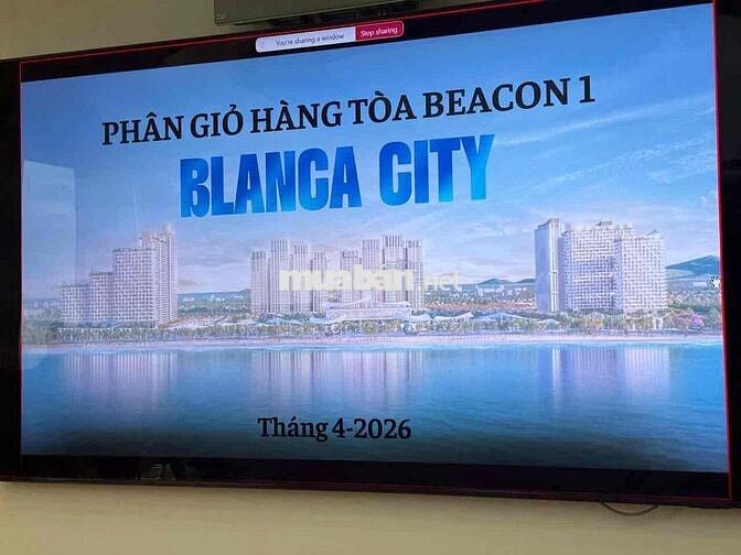 Quỹ Căn hộ Biển Sổ Lâu Dài Beacon Vũng Tàu