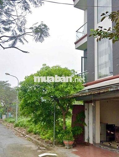 bán 500m đất sổ đỏ chính chủ Thư Lâm Đông Anh Hà Nội