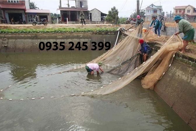 Lưới kéo cá - nhận gia công lưới kéo cá