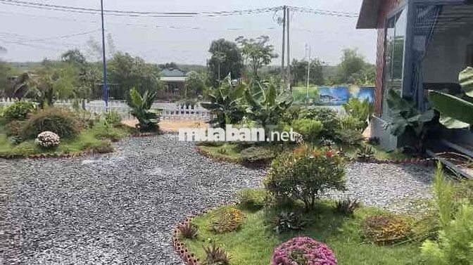 Đất Nhà Vườn Xây Mới 100% Mặt Tiền Đường