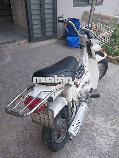 Honda Chaly 1986 Trắng