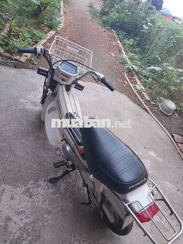Honda Chaly 1986 Trắng