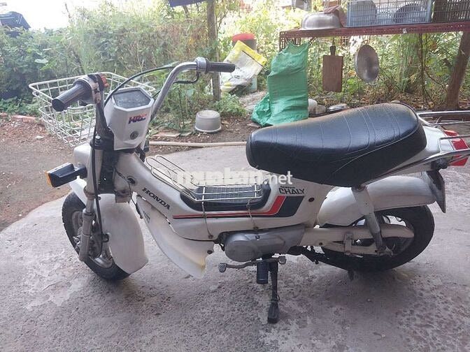 Honda Chaly 1986 Trắng