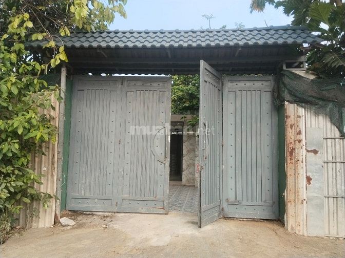 Cho thuê nhà mới xây sân vườn cây trái, thoáng mát diện tích lớn có ch
