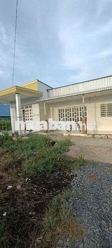 Cho thuê nhà mặt tiền đường Lý nhơn, xã An thới đông Cần giờ