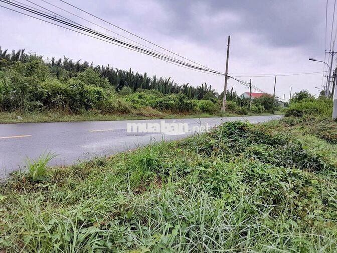 Cho thuê nhà mặt tiền đường Lý nhơn, xã An thới đông Cần giờ