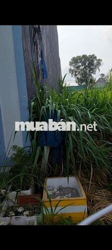 Chính Chủ Kẹt Tiền Bán GẤP Lô Đất Tiềm Năng Tại Long An