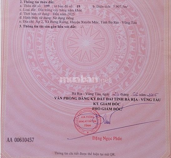 Bán đất gần trung tâm xã Bưng Riềng 5 hecta sổ hồng giá 20 tỷ