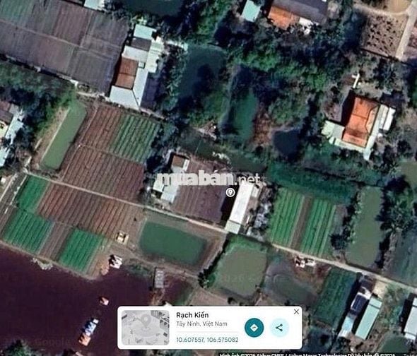 BÁN ĐẤT DIỆN TÍCH LỚN GẦN KCN CẦU TRÀM , CHỢ BÌNH CHÁNH 
