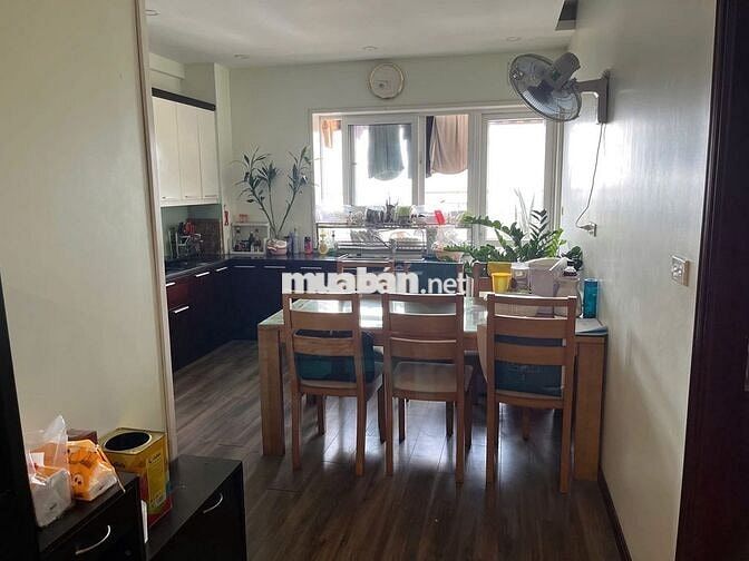 Bán CC A6 Nguyễn Chánh,48m2, 1 ngủ, 4 tỷ