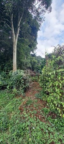 Thông báo đấu giá tài sản bảo đảm của khách hàng Trương Thiện Tâm