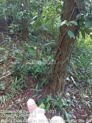 Thông báo đấu giá tài sản bảo đảm của khách hàng Trương Thiện Tâm