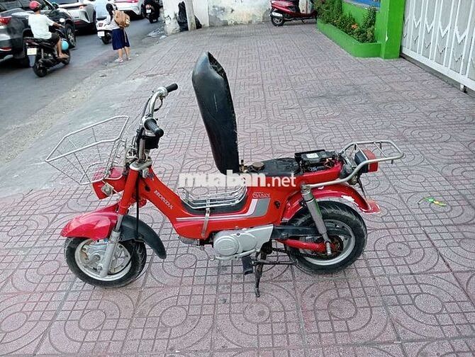 Honda Chaly 81 Đỏ