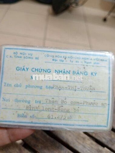Honda Chaly 78/70 cc Trắng kem