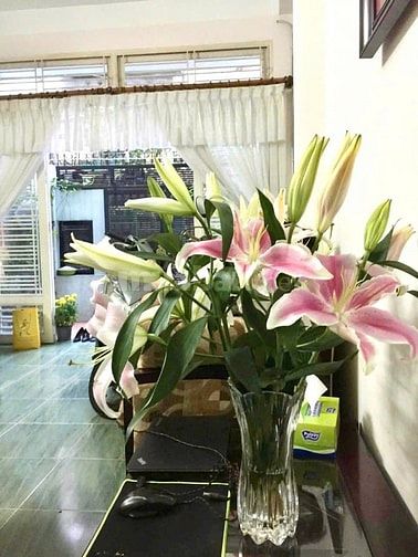Nhà Hoà Hưng -Quận 10- hẻm thông  📐Dt: 4 x 15m  💥Pháp lý: Sổ đẹp