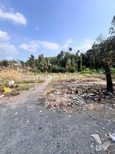 MT đường vòng cung Tây Bắc (đường 40m có 6 làn xe) giá đầu tư X đôi.