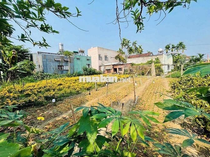 PHONG LỤC TÂY, ĐIỆN THẮNG 148m2 chỉ 1ty2xx