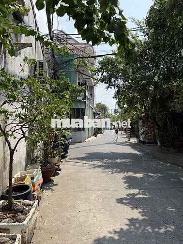 Cho thuê nhà nguyên căn Linh Trung giá rẻ sân rộng tiện đậu ô tô