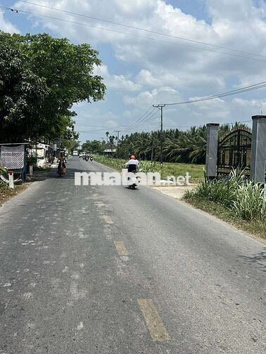 Đất QL54, 1.174m², full thổ cư