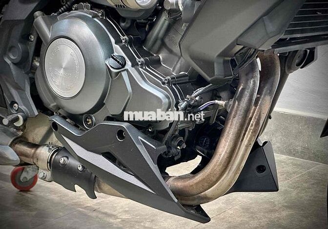 BENELLI 302 DATE 2015