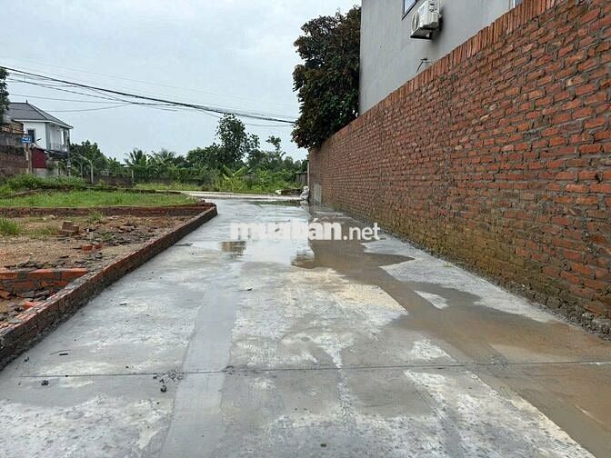 69.7m xuân đồng tân minh sóc sơn hà nội full thổ  cư 
