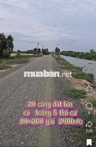 Bán đất 2 mặt tiền 19 công, có hơn 1.500 m2 thổ cư