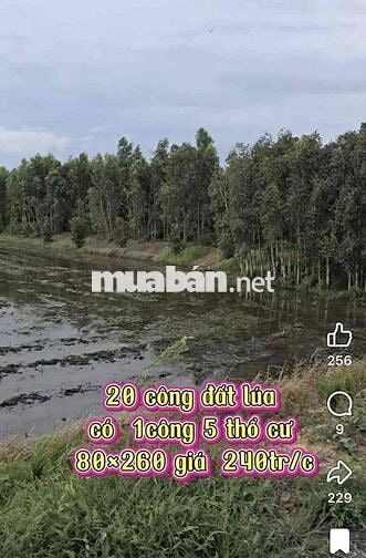 Bán đất 2 mặt tiền 19 công, có hơn 1.500 m2 thổ cư