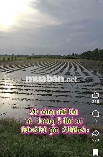 Bán đất 2 mặt tiền 19 công, có hơn 1.500 m2 thổ cư