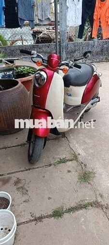 Honda Scoopy 50cc Đỏ Trắng