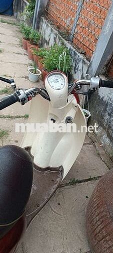 Honda Scoopy 50cc Đỏ Trắng