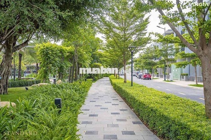 Căn nội bộ cuối cùng CĐT An Gia, 5x17m, 3 lầu ST