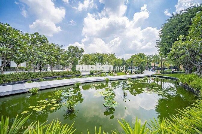 Căn nội bộ cuối cùng CĐT An Gia, 5x17m, 3 lầu ST