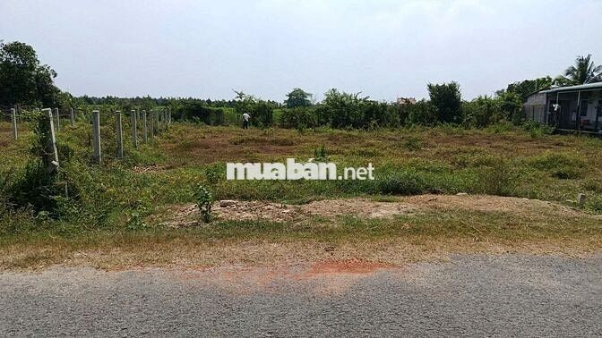 8m ngang đường nhựa, gần KCN Phước Đông. 200m2 giá 4xx tr