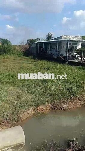 8m ngang đường nhựa, gần KCN Phước Đông. 200m2 giá 4xx tr