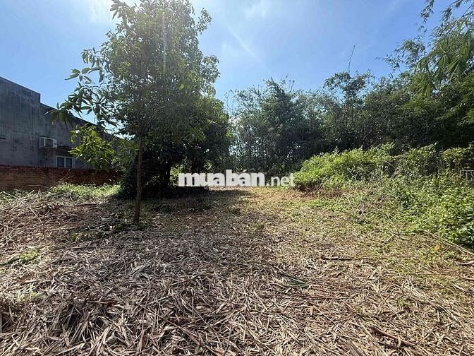 Chính chủ bán gấp 238m2 đất TT Dương Minh Châu - 108m2 Thổ cư - Giá đầ