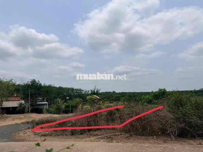 Ngay khu du lịch quả điều vàng đất thổ cư 2 mặt tiền