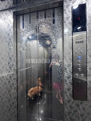 Bán biệt thự nghỉ dưỡng kết hợp KD, View núi trực diện, Khu QH An Sơn