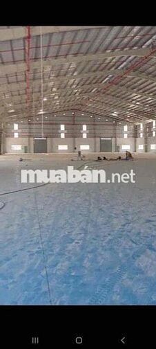 Cho Thuê Xưởng Tân Thới Hiệp Q12
