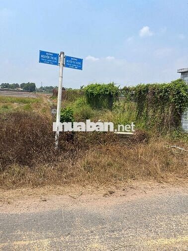 TÌM ĐÂU RA 500m2 ĐẤT VƯỜN có 50THỔ CƯ Ô TÔ -GIÁ ĐẸP CHỈ NHỈNH 1 TỶ 5