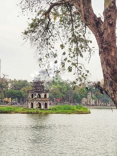 Chính chủ Cần bán nhà trong ngõ 71 hai bả Trưng 40 m2 xây 4,5 tầng . 