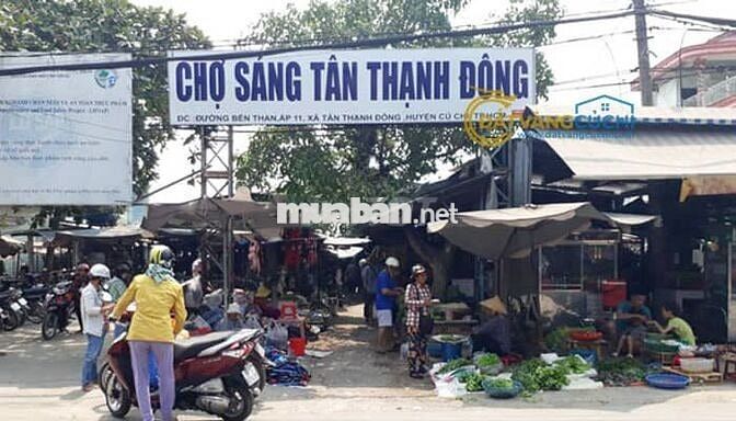 Bán đất Củ Chi Sát chợ Tân Thạnh Đông 225m2/ 730tr đầu tư sinh lời cao