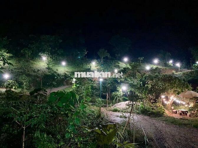 🌊 900 TRIỆU SỞ HỮU 1500m² 🌿 ÔM TRỌN VIEW HỒ TRỊ AN – QUÁ HIẾM 🌊