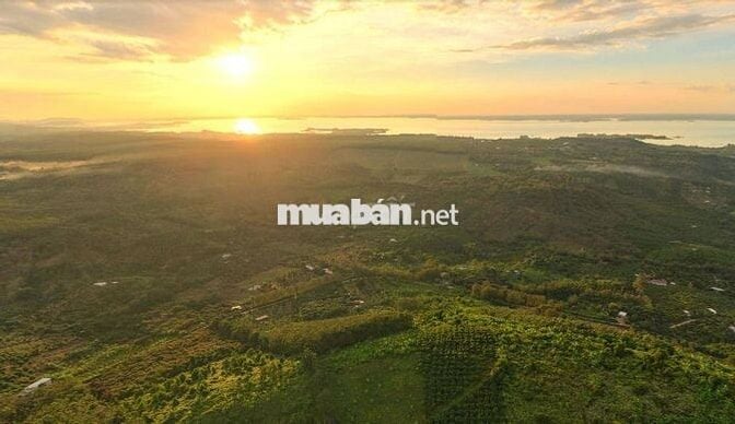 🌊 900 TRIỆU SỞ HỮU 1500m² 🌿 ÔM TRỌN VIEW HỒ TRỊ AN – QUÁ HIẾM 🌊