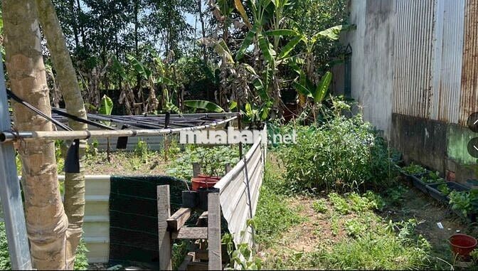 💥 1 BƯỚC RA QL20 – ĐẤT TRUNG TÂM ĐÔ THỊ GIA KIỆM CHỈ 750 TRIỆU🌆 💥